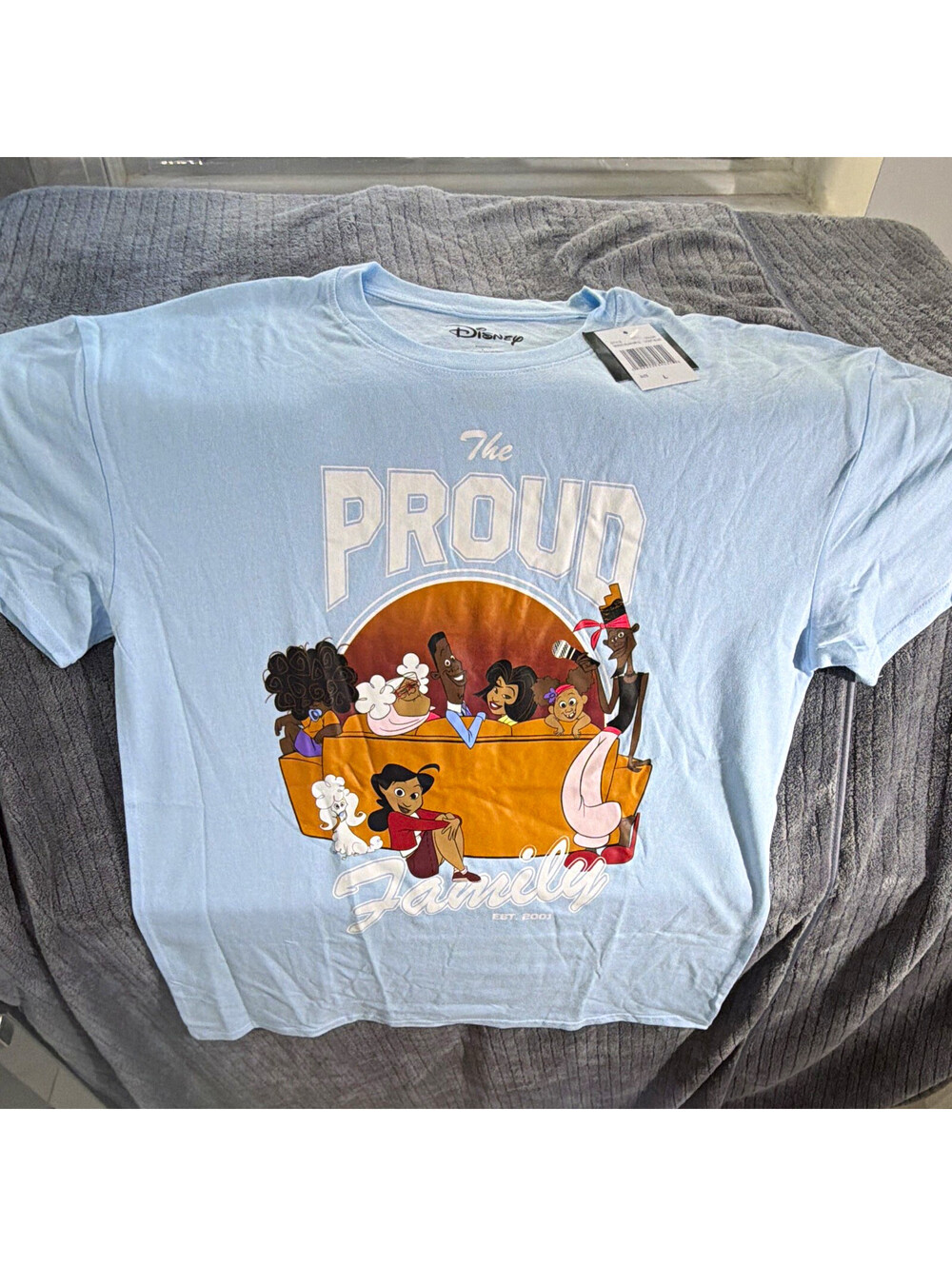 Disney The Proud Family Graphic T-Shirt Light Blue Adult Unisex Size L